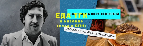 хмурый Алексин