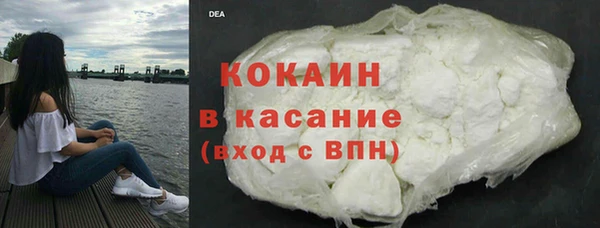 хмурый Алексин