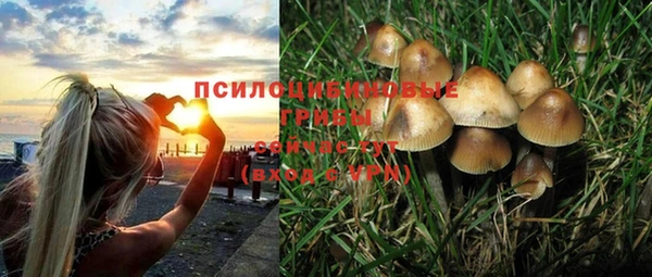 хмурый Алексин