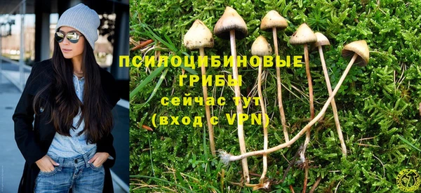 хмурый Алексин