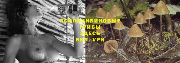 метамфетамин Алексеевка