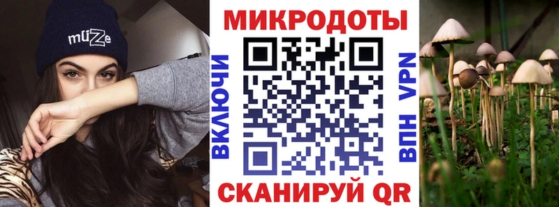 Псилоцибиновые грибы Magic Shrooms  Купить где  Сольвычегодск 